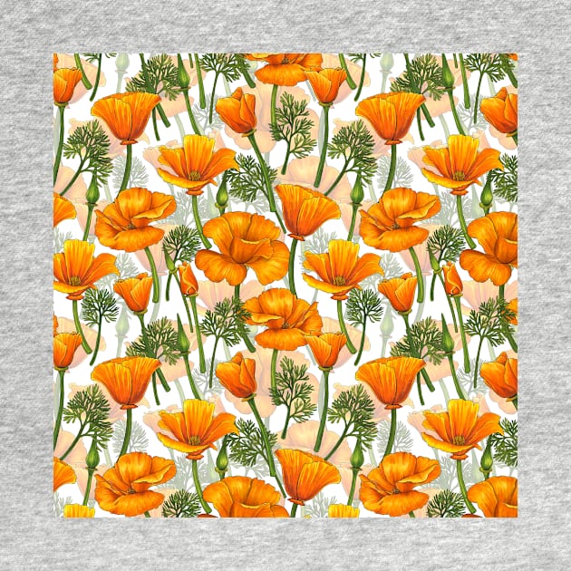 California poppies by katerinamk